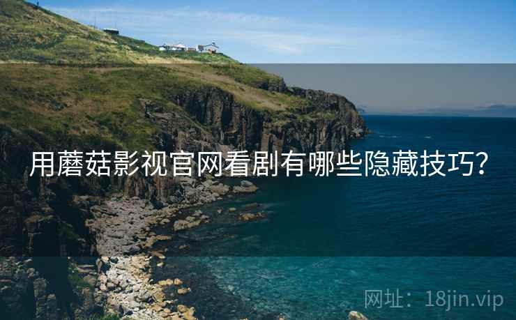 用蘑菇影视官网看剧有哪些隐藏技巧？