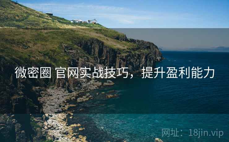 微密圈 官网实战技巧，提升盈利能力